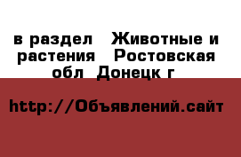  в раздел : Животные и растения . Ростовская обл.,Донецк г.